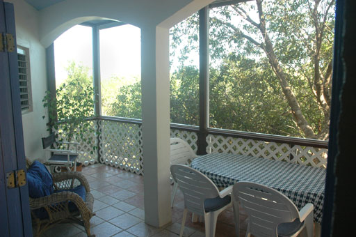porch_6999.jpg - A large screened porch is well-shaded and catches the constant cooling tradewinds.