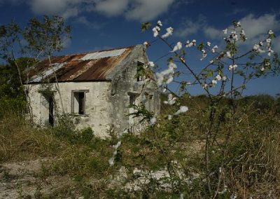 Cotton and ruins of old plantation buildings can be found across North and Middle Caicos, where loyalists tried to establish plantations.